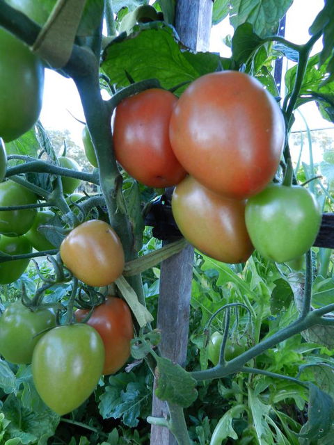 Hay Point Country BnB - Accommodation Kalgoorlie 18