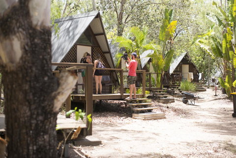 Roamer Magnetic Island Koala Park - Formerly Selina Magnetic Island - Accommodation Kalgoorlie 6