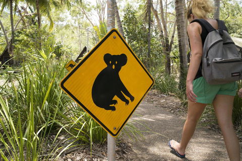 Roamer Magnetic Island Koala Park - Formerly Selina Magnetic Island - Accommodation Kalgoorlie 27