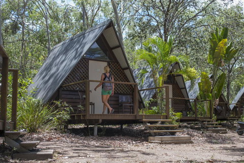 Roamer Magnetic Island Koala Park - Formerly Selina Magnetic Island - Accommodation Kalgoorlie 5