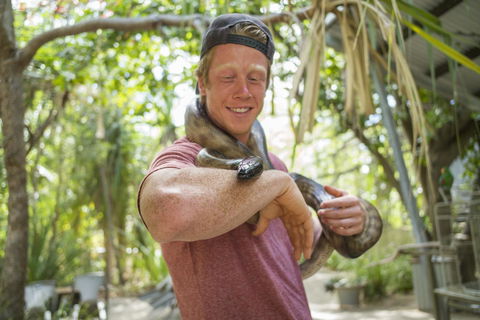 Roamer Magnetic Island Koala Park - Formerly Selina Magnetic Island - Accommodation Kalgoorlie 13