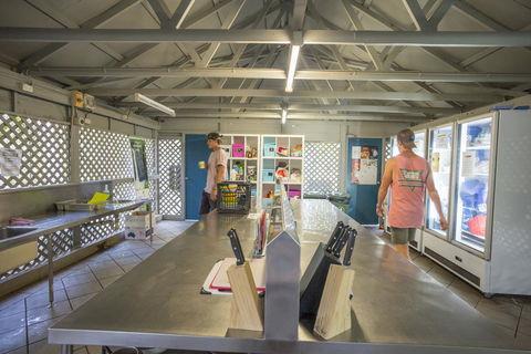 Roamer Magnetic Island Koala Park - Formerly Selina Magnetic Island - Accommodation Kalgoorlie 28