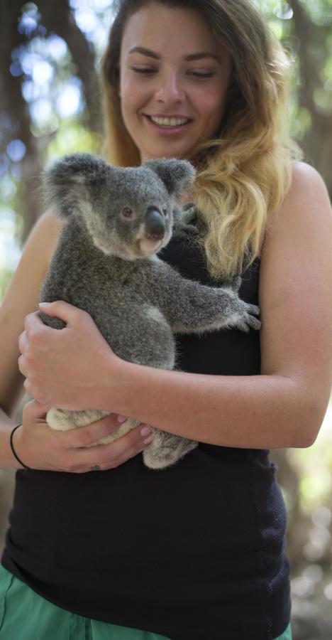 Roamer Magnetic Island Koala Park - Formerly Selina Magnetic Island - Accommodation Kalgoorlie 12