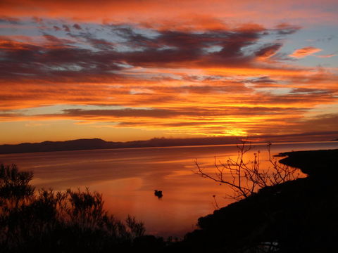 Tropical Palms Resort & 4WD Hire - Accommodation Kalgoorlie 30