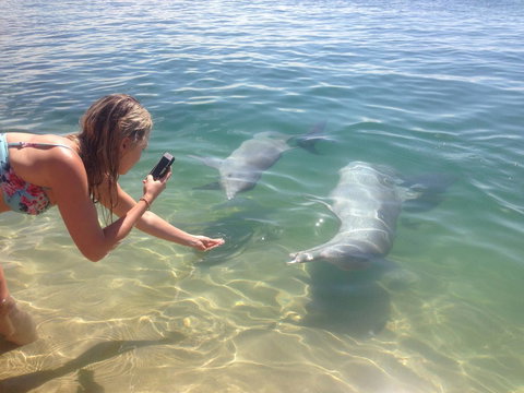 Sea Shanties - Accommodation Kalgoorlie 10