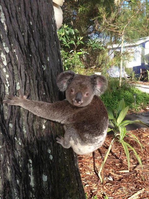 Sea Shanties - Accommodation Kalgoorlie 9