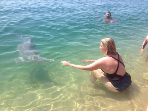 Sea Shanties - Accommodation Kalgoorlie 4