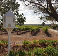 'In The Vines' Guest Cottage Barossa Valley - Accommodation Kalgoorlie