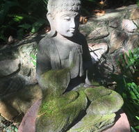 'The Tree House.' Treetop living near the ocean Coolum Beach QLD Australia - Accommodation Kalgoorlie