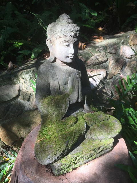 'The Tree House.' Treetop Living Near The Ocean, Coolum Beach, QLD, Australia - Accommodation Kalgoorlie 0