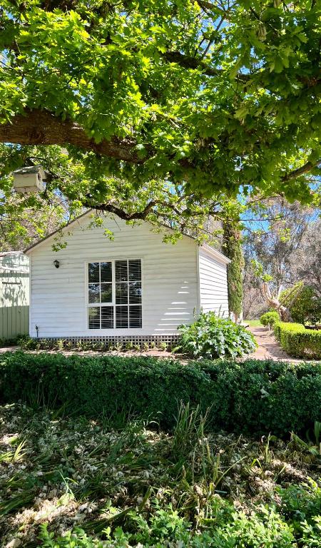 Birchwood Cottage - Accommodation Kalgoorlie 4