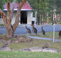 31 The Rocks - Accommodation Kalgoorlie