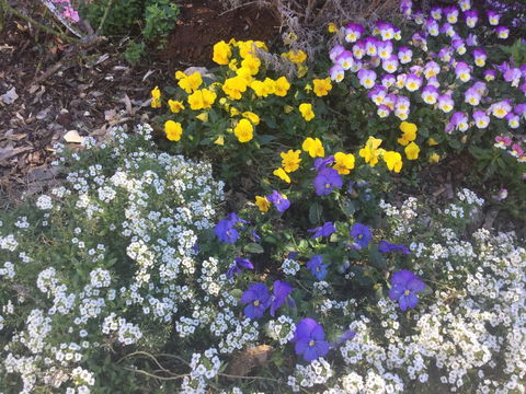 A Very French House - Accommodation Kalgoorlie 2