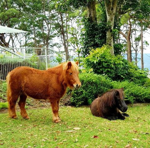 Aaronlee Retreat - Accommodation Kalgoorlie 1