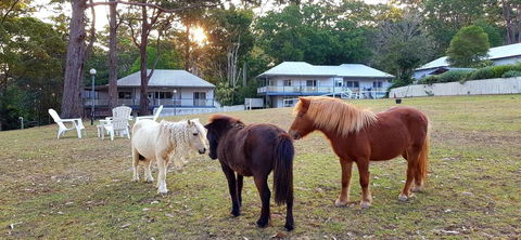 Aaronlee Retreat - Accommodation Kalgoorlie 2