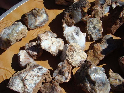 Acclaim Gateway Tourist Park - Accommodation Kalgoorlie 1