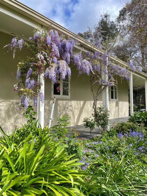 Fleetwood Cottage Bed And Breakfast - Accommodation Kalgoorlie 4