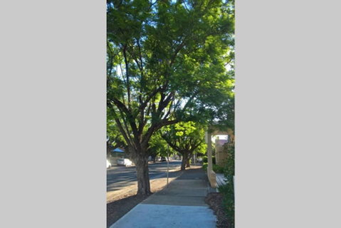 Gawler Heritage Accommodation - Accommodation Kalgoorlie 1