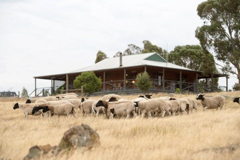 Gilgraves Vineyard Farmstay - Accommodation Kalgoorlie 0