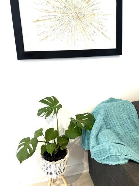 Happy Studio In NewCastle - Accommodation Kalgoorlie 1