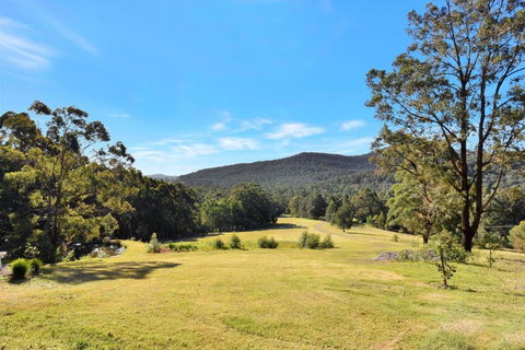 Hunter Valley Kangaroo Retreat With 60 Kangaroos - Accommodation Kalgoorlie 1