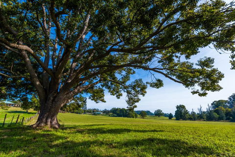 All About Me B & B - Accommodation Kalgoorlie 2