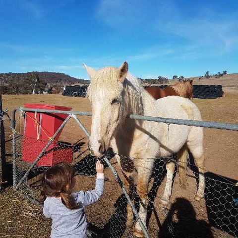 Alpine Country Motel - Accommodation Kalgoorlie 3