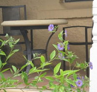 Amalie Cottage Waikerie - Accommodation Kalgoorlie