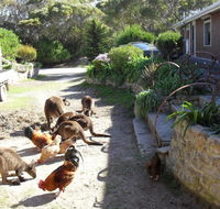 Anchorage Apartments - Accommodation Kalgoorlie