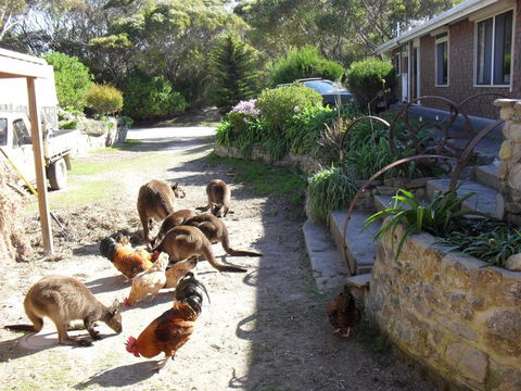 Anchorage Apartments - Accommodation Kalgoorlie 0