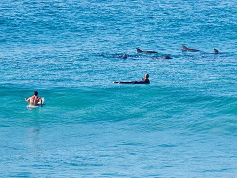 Aquarius Apartment 9 - Accommodation Kalgoorlie 1