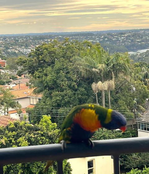 Mosman Views, 2bed, Parking, 15min Walk To Beach - Accommodation Kalgoorlie 1