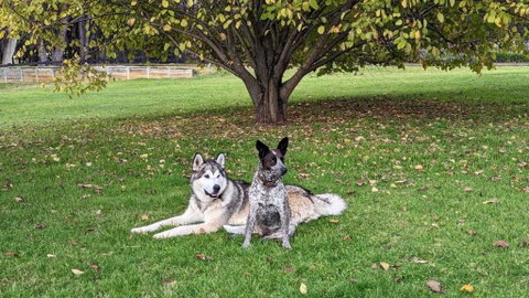 Mountain Culture Farm Stay - Pet Friendly - Accommodation Kalgoorlie 2