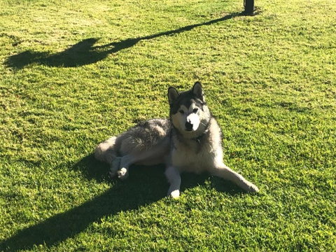 Mountain Culture Farm Stay - Pet Friendly - Accommodation Kalgoorlie 3