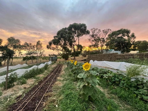 Penobscot Farm Cottage - Accommodation Kalgoorlie 2