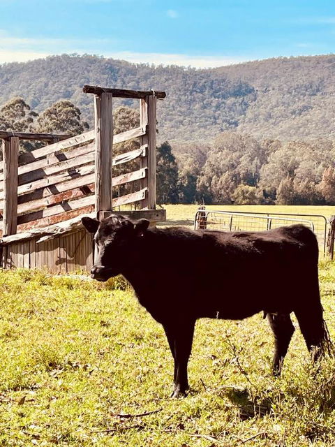 Peppercorns Riverside Farm Stay - Accommodation Kalgoorlie 0