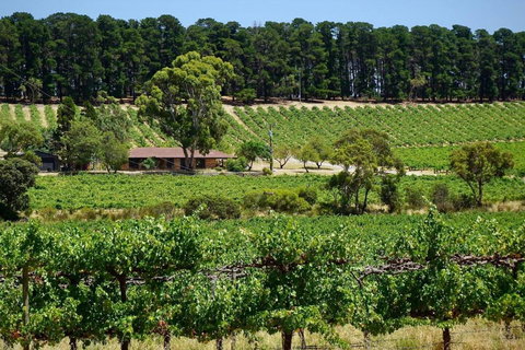 Picturesque Vineyard Farmhouse Nestled On 40-Acres - Accommodation Kalgoorlie 0