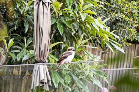 Quaint Queen Room - Central Location At Pymble - Shared Bathroom - Accommodation Kalgoorlie 1