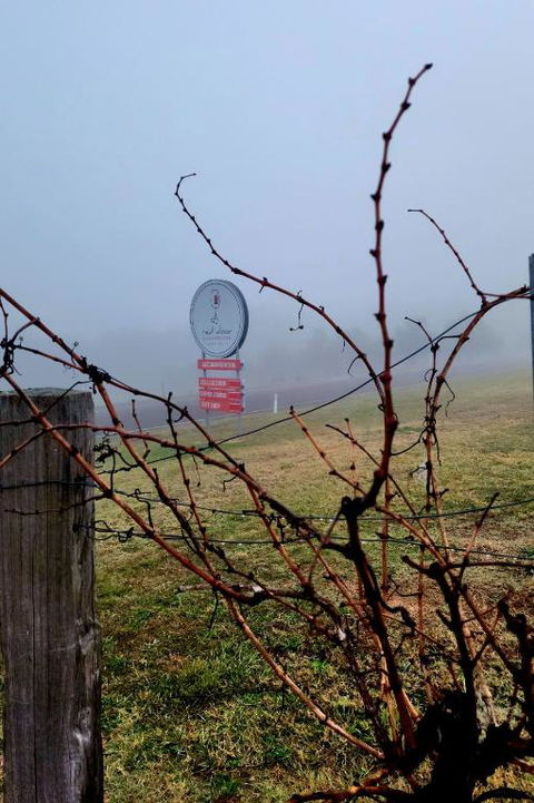 Red Door Collective - RDC Vineyard Estate, Luxury Adult Only Stay - Accommodation Kalgoorlie 3