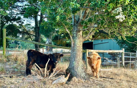 Private, Secluded Farm Retreat - Accommodation Kalgoorlie 3