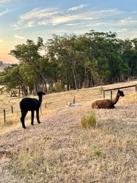 Private, Secluded Farm Retreat - Accommodation Kalgoorlie 2