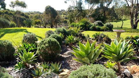 Austiny Bed And Breakfast Victor Harbor - Accommodation Kalgoorlie 2