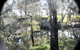 Barrabup Sanctuary BirdHide - thumb 1