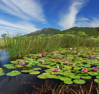 Barrington Hideaway- River Cottages - Accommodation Kalgoorlie