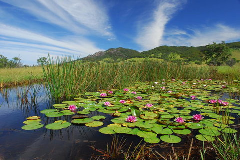 Barrington Hideaway- River Cottages - Accommodation Kalgoorlie 0