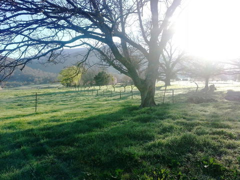 Bay Creek Guest House - Accommodation Kalgoorlie 0