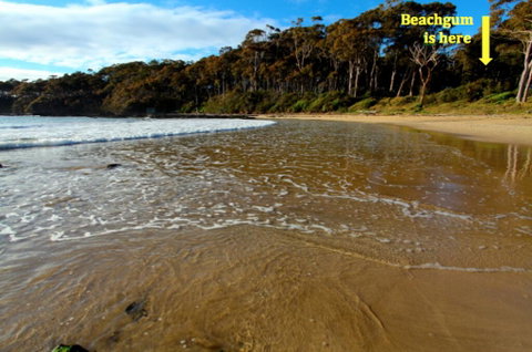 Beachgum - Accommodation Kalgoorlie 2