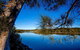 Reflections Ferry Reserve - Holiday Park - thumb 2