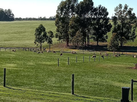 Redtail Ridge Cottages - Accommodation Kalgoorlie 1