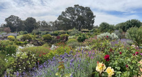 River Gardens Axedale Pet Friendly Farmstay B&B - Accommodation Kalgoorlie 0
